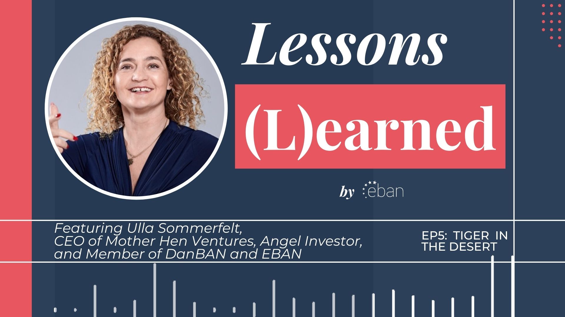 Lessons Learned 5: Featuring Ulla Sommerfelt, the tiger in the desert.