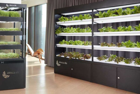 The Startup That Will Change the Way China Feeds Its Cities