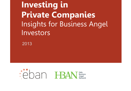Investing in Private Companies – Insights for Business Angel Investors