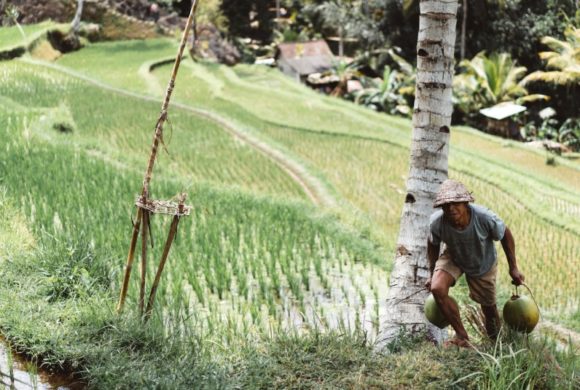 Small Farmers are the Future of Global Food Security