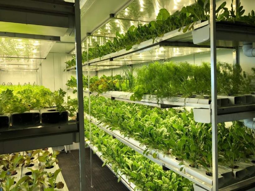 Press Release: Fresh Food Solution for Refugees Receives Funding from Dutch Impact investor