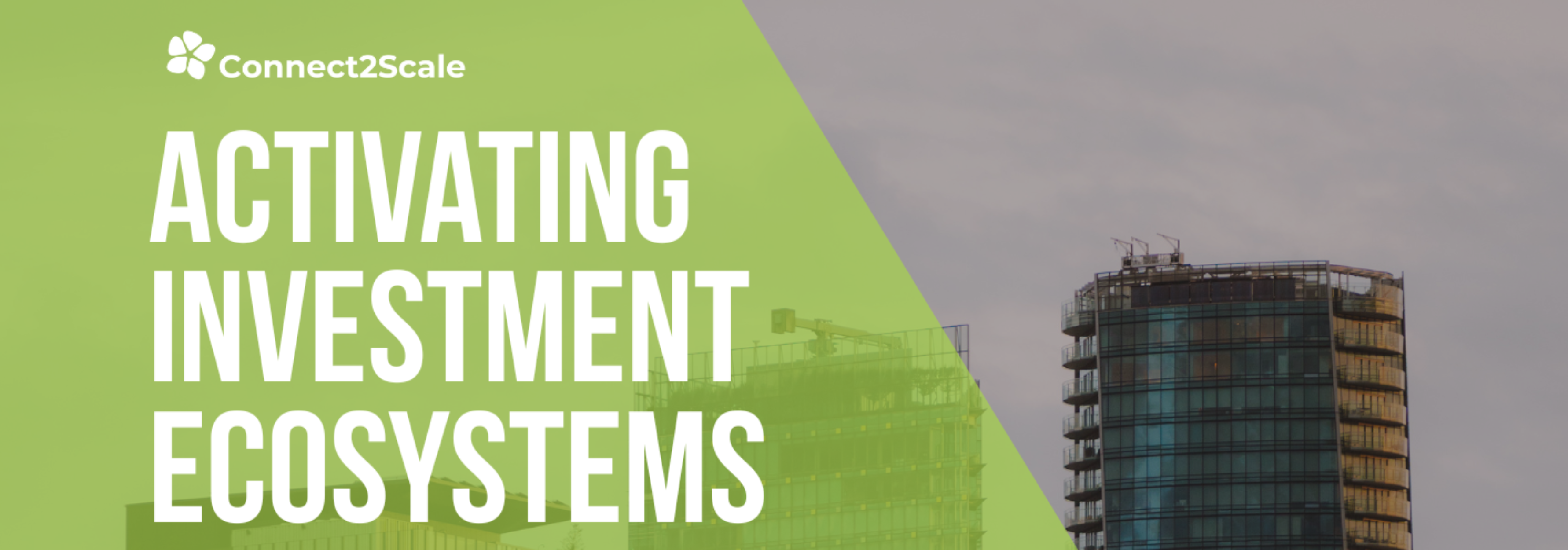 Activating Investment Ecosystems: Policy Recommendations